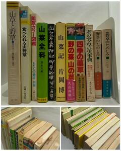 まとめて11冊　野草　山草　山菜　薬草　山野草　木の実　草の実　事典　図鑑　昭和