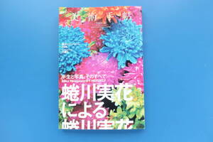 BT 美術手帖 2008年11月号/特集:蜷川実花による蜷川実花 半生と写真、そのすべて/幻の初期作から時代をつくった名作～最新作までを一挙掲載