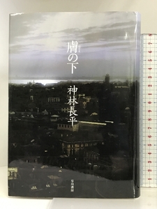 膚(はだえ)の下 早川書房 神林 長平 早川書房 神林 長平