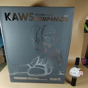 KAWS (RESTING PLACE ) COMPANION OriginaFake 