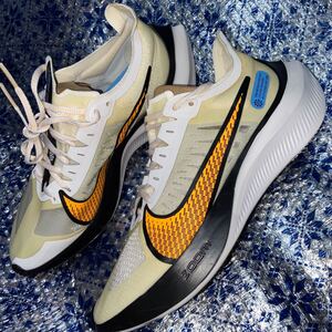 新品未使用 ナイキ ズームグラビティ25cm NIKE ランニングシューズ メンズzoom gravity