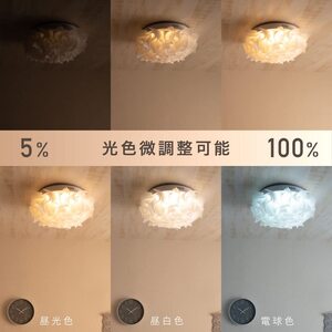 華やかな花びら ＬＥＤ シーリングライト 新登場！ ユーザー好評 長寿命仕様