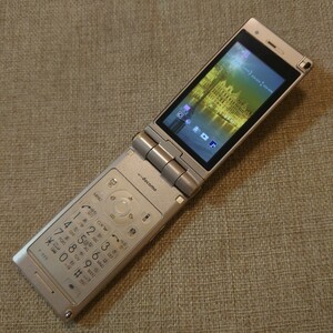 P-02C docomo ゴールド