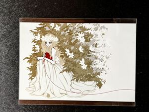 【ワカマツカオリの大判Postcard】≪Secret forest≫