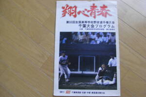 第66回全国高等学校野球選手権大会　千葉大会プログラム　「翔べ青春」　昭和59年(1984年)　高校野球　甲子園