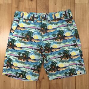 undefeated × BAPE ハーフパンツ Sサイズ a bathing ape shorts エイプ ベイプ アベイシングエイプ アンディフィーテッド b02