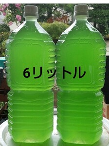 天然　グリーンウォーター(種水、青水)6000ml。金魚。メダカ。水草　ミジンコ 金魚 ゾウリムシ 。