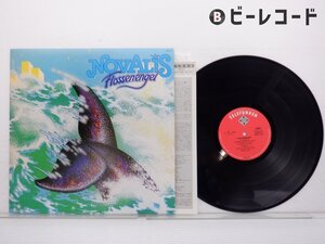 Novalis 「Flossenengel」LP（12インチ）/Telefunken(K22P-157)/洋楽ロック