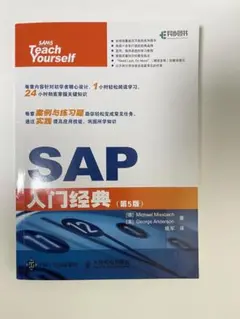 SAP 入门经典 (第5版)