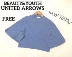 ■BEAUTY&YOUTH UNITED ARROWS ウール ニット FREE