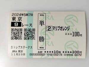 マリブオレンジ カトレアステークス 11/23 単勝馬券 東京競馬場 現地購入馬券 JRA