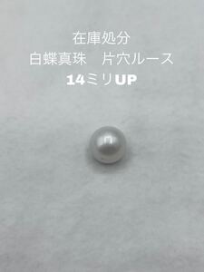 在庫処分　白蝶真珠　片穴ルース　14ミリUP 02 ルース 真珠 パール 宝石 裸石 アクセサリー加工などに