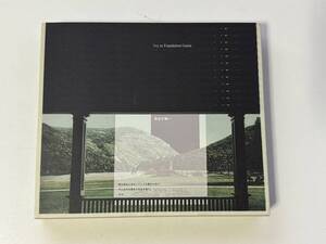 邦楽CD Ivy to Fraudulent Game 完全が無い (完全生産限定盤/CD+DVD) (VIZL-1620/4988002788927)