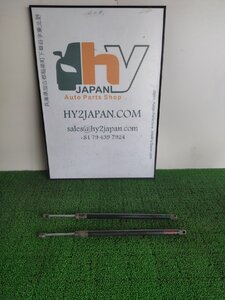 リンカーン リアゲートダンパー 左右 ナビゲーター , 2006 #hyj NSP65589