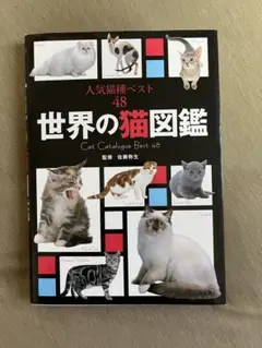 世界の猫図鑑 人気猫種ベスト48