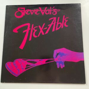 スティーヴ・ヴァイ　Steve Vai / Flex-able レコード