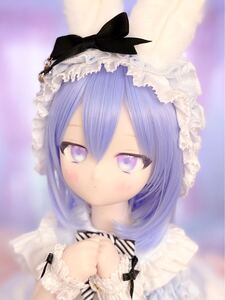 [SeeleEdelstein] DDH-29 カスタムヘッド DD MDD SW肌