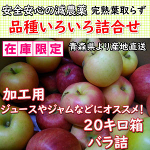 【加工用20キロ！】安心安全の減農薬「品種いろいろ詰合せ」青森産完熟りんご●お得なバラ詰約20キロ入！皮ごと安心！ジュースやジャムに！