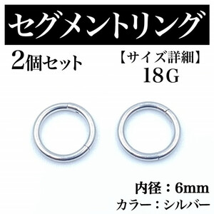 セグメントリング 18G 2本 フープピアス ボディピアス シルバー BP 169