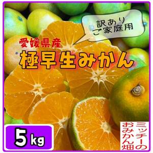 【北海道＆沖縄のお客様用】 極早生 温州みかん【訳あり】《えひめ県産》【小玉】