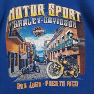 Harley Davidson ハーレーダビッドソン 両面プリント バイク Tシャツ 古着 ダメージ