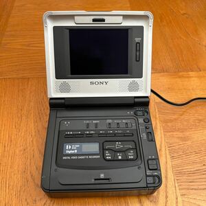 SONY DIGITAL ビデオウォークマン GV-D800