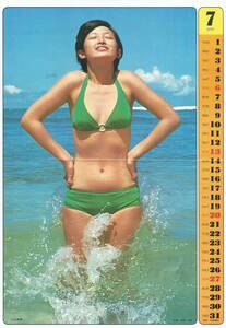 1975年カレンダー(3月～10月)郷ひろみ伊藤咲子西川峰子浅野ゆう子あいざき進也荒川務フィンガー5山口百恵野口五郎アグネス・チャン桜田淳子