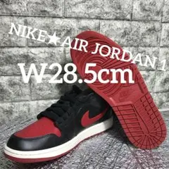 NIKE☆AIR JORDAN 1★GYM RED★W28.5cm