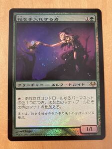 EVE 花を手入れする者　FOIL 日本語1枚 MTG 初版　bloom tender イーブンタイド