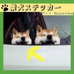 柴犬　カーステッカー　癒し ステッカー犬3Dシール傷隠し防水 壁紙かわいい