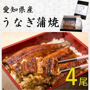 ◆愛知県産 うなぎ 蒲焼 (133g～150g) x 4尾 国産★鰻蒲焼：真空パック・冷凍