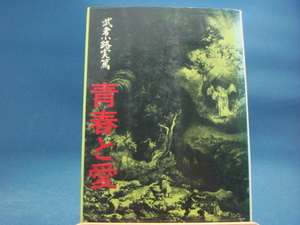 三方に強い焼け有！【古書】青春と愛/武者小路実篤/芳賀書店 単行本9-2