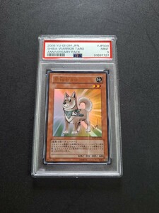 遊戯王 アニバーサリーパック　柴戦士タロ　YAP 1 PSA9 鑑定品