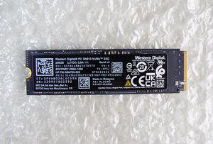 Western Digital WD SN810 SDCPNRY-256G 256GB M.2 NVMe 2280 Gen4.0x4 使用時間13131h 現状品