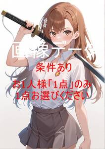 MMWR022 御坂 美琴(みかさ みこと)とある魔術の禁書目録 画像データ お一人様一点のみ(1円シリーズ全体で一点のみ) 