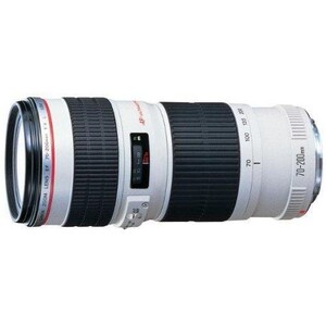 中古 １年保証 美品 Canon EF 70-200mm F4L USM