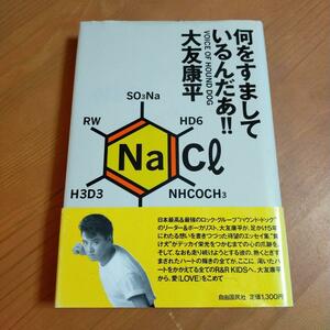 『何をすましているんだあ!!』 大友康平（ハウンド・ドック）　1987年発行/自由国民社