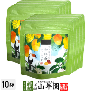 国産紅茶 マンゴーの和紅茶 10g(2g×5パック)×10袋セット