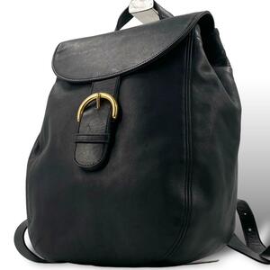 Vintage Coach All Leather backpack Black オールドコーチ リュック オールレザー ブラック 