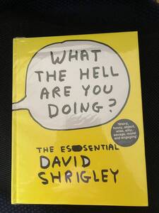 デヴィッド・シュリグリー☆What The Hell Are You Doing?: The Essential David Shrigley