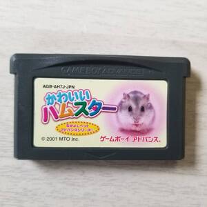 ☆即決　GBA　なかよしペットアドバンス かわいいハムスター 　　　同梱可☆