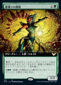 MTG　【Foil】龍護りの精鋭　拡張アート　在庫日1枚まで　ホイル　ストリクスヘイヴン　STX　★他多数出品中