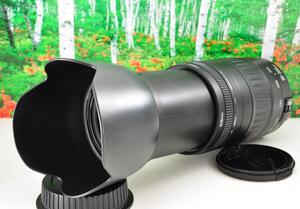 輝きを望遠で！Canon キヤノン 望遠レンズ 迫力の90-300mm　G2