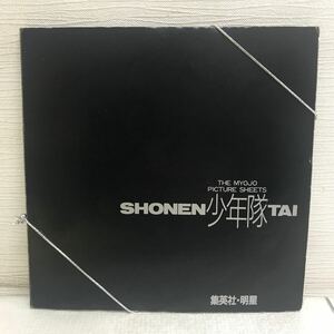 I0522B5 少年隊 サクセス・ストーリー ソノシート レコード E-7461 ピクチャー・シート 非売品 懸賞品 集英社・明星 MYOJO デビューの秘密 