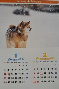 【1冊：大きい カレンダー:可愛い「子犬」:B3:52x36㎝：送料無料】★2025：犬・イヌ・いぬ：大きな サイズ:見開き★こよみ 暦：No3