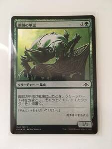 MTG　鋼胴の甲虫/Ironshell Beetle　(GRN/ラヴニカのギルド,日) 1枚(Foil)