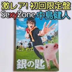 銀の匙 特盛版 初回限定盤 DVD 美品！SexyZone 中島健人 広瀬アリス