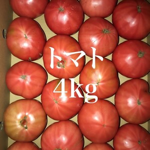 【熊本県産】新鮮 フレッシュ トマト 約4kg 家庭用 訳アリ品