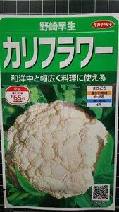 ３袋セット カリフラワー 野崎 早生 種 郵便は送料無料