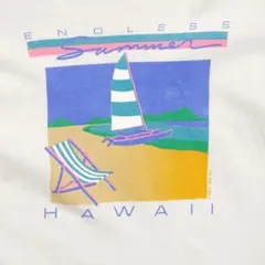 80s USA製 エンドレスサマー ハワイ 1984年 パステル Tシャツ